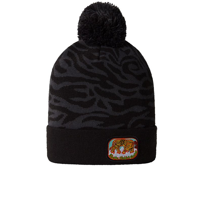 The North Face Ski Tuke Beanie