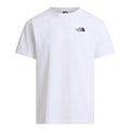 The North Face Regular Short Graphic