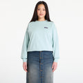 Patagonia W's Daily Crew Thin Ice