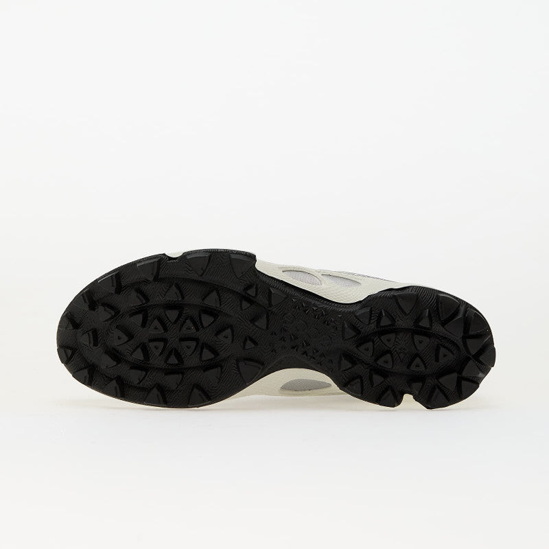 ECCO Biom C-Trail Wmns Silver