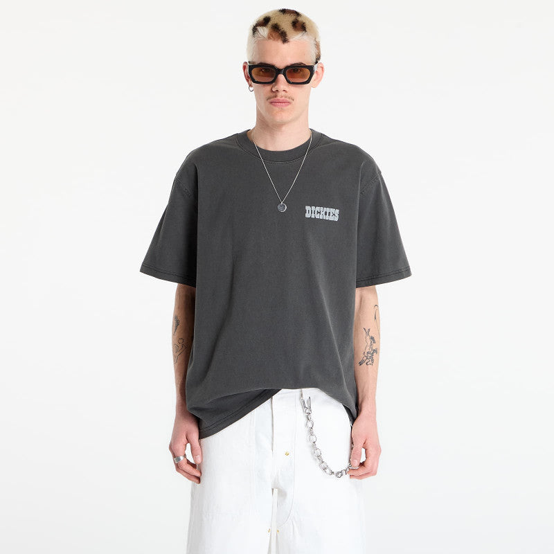 Dickies Buchtell Short Sleeve Tee Black