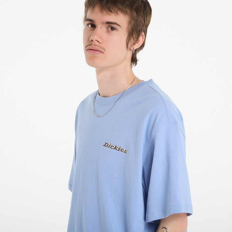 Dickies Thornville Ss Tee Endless Sky