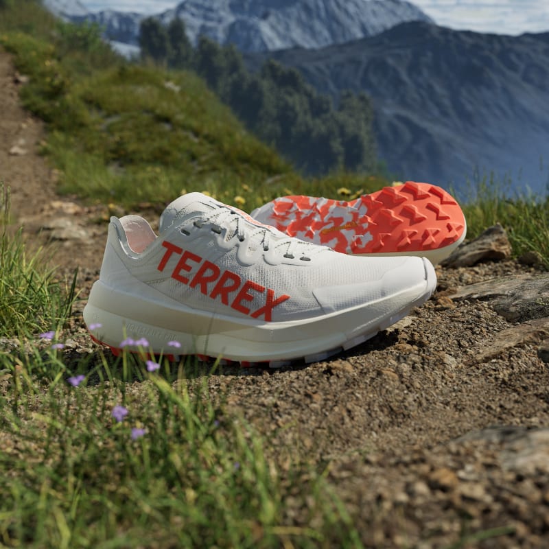 adidas Wmns Terrex Agravic Speed Trail Running