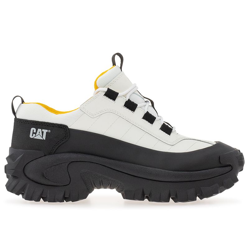 Caterpillar Intruder