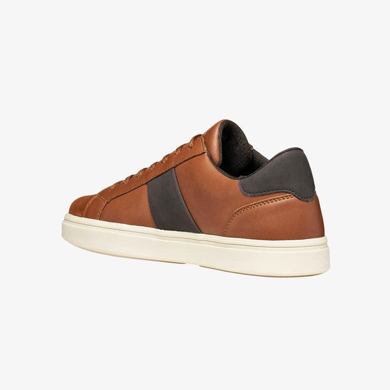 Geox Baltmoore Brown