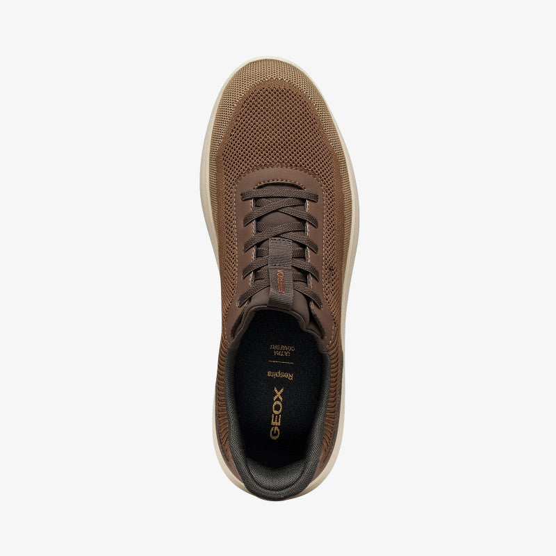 Geox Spherica Plus Brown